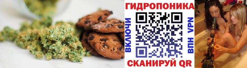 кракен ссылки Слюдянка Canna-Cookies марихуана