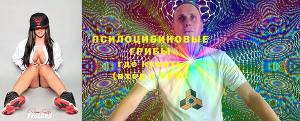 гидропоника Арсеньев