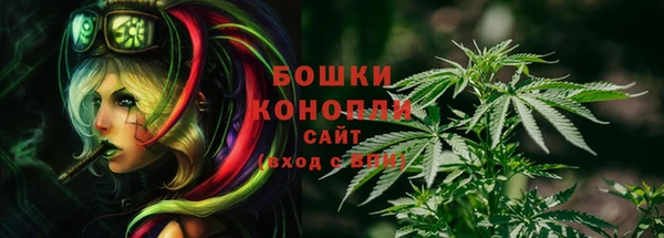 винт Аркадак