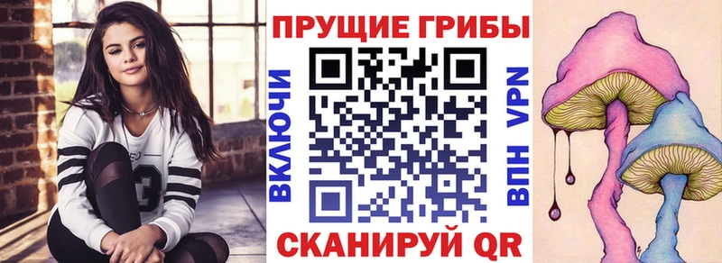 Галлюциногенные грибы ЛСД  кракен онион  Слюдянка 